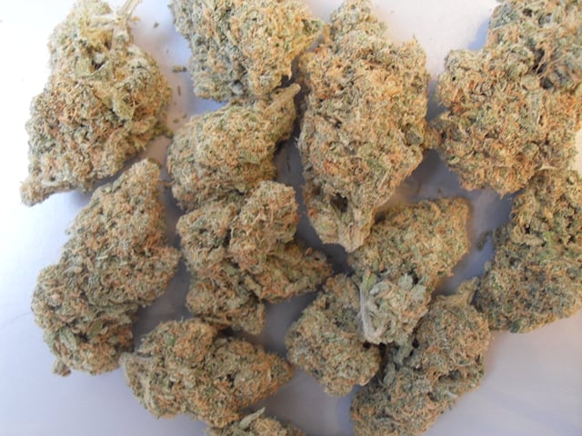 Blue Dream - organic