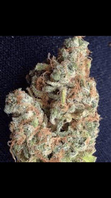 0. SPECIAL👉 Top Shelf Sampler 👉 any 4 strains for $145 half oz