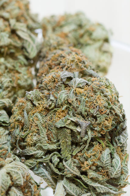 Blueberry