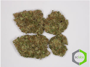 Purple Train Wreck