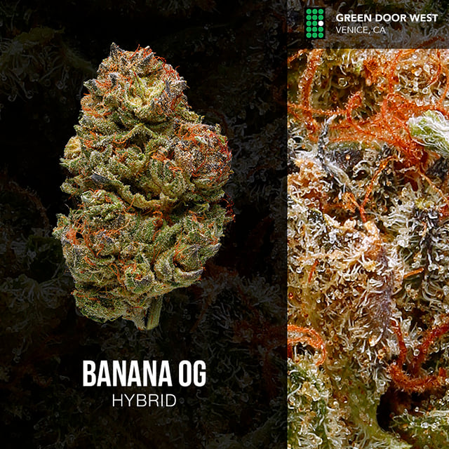 GDW Banana OG