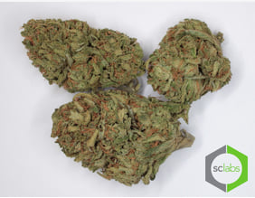 Blue Dream 707