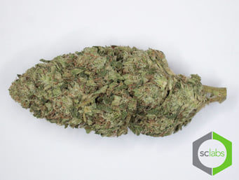 Jade OG