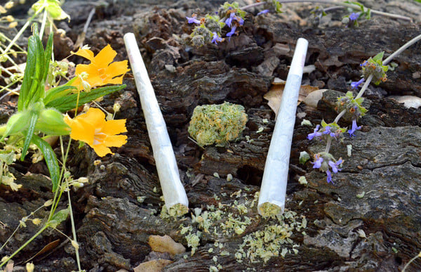 King Size - Top Shelf Preroll