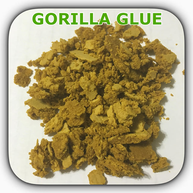 GORILLA GLUE CRUMBLE (1/2 GRAM