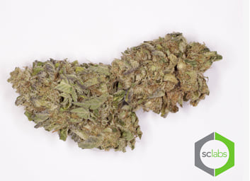 Girl Scout Cookies (DCG 0403)