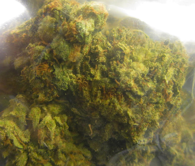 Larry OG