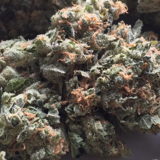 Sour Diesel