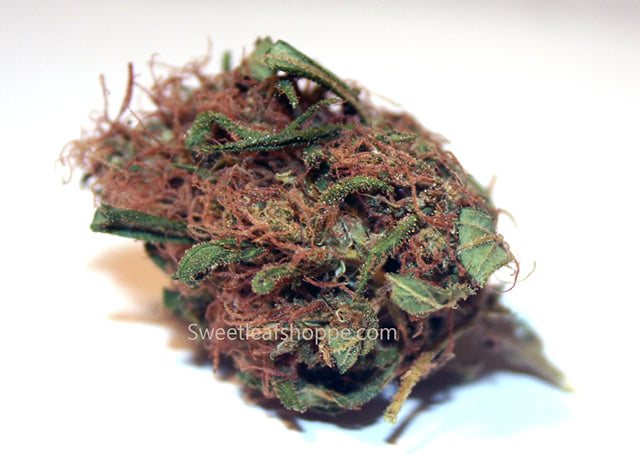 Grapefruit