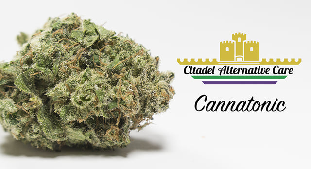 Cannatonic ** CBD**