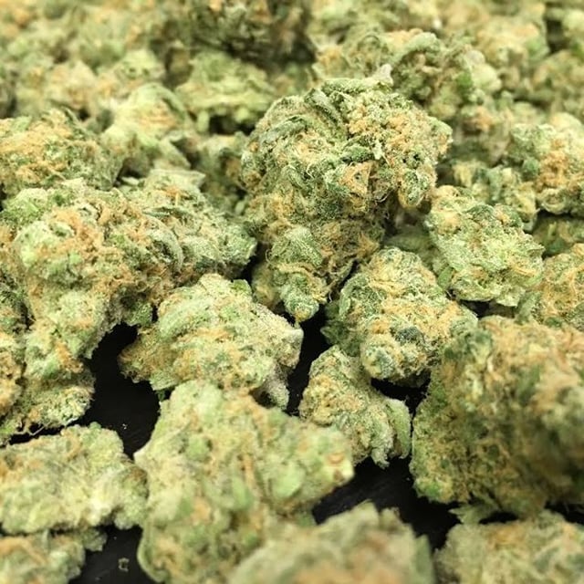 Blue Champagne