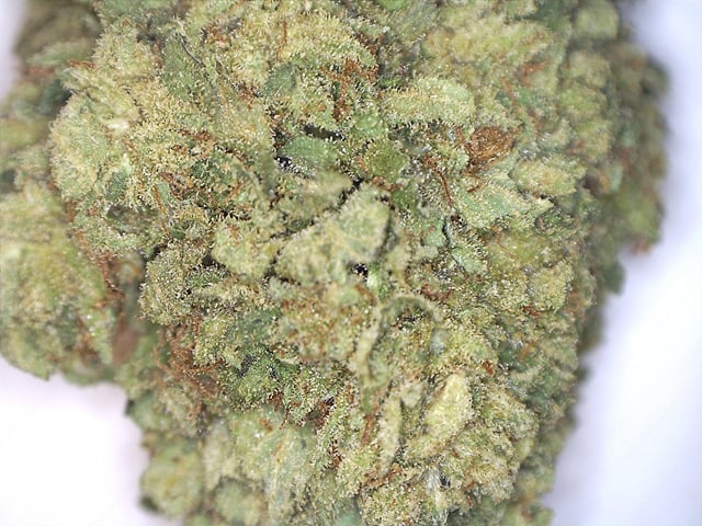 Trainwreck