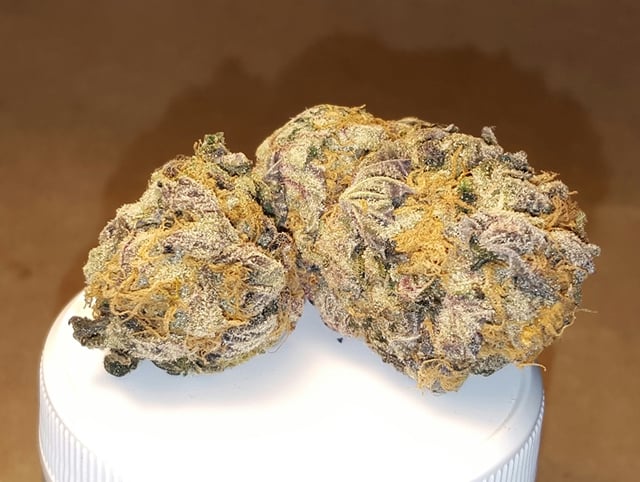 Purple Urkle