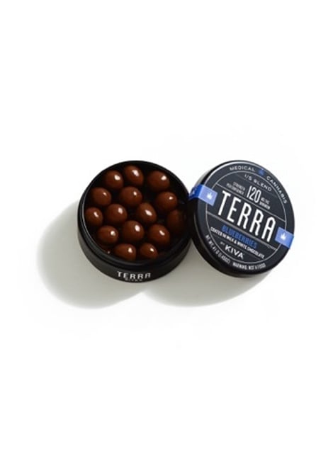 Terra Bites Blueberry