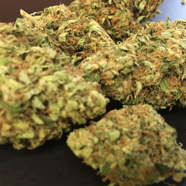 818 Headband (Organic)