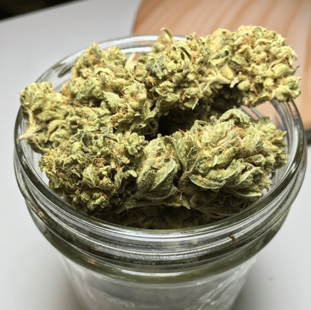WCF- GORILLA GLUE #4 - (TOP SHELF- INDOOR)