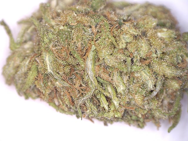 Super Silver Haze / Jack