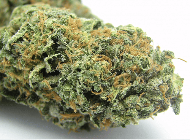 Sunset Sherbet