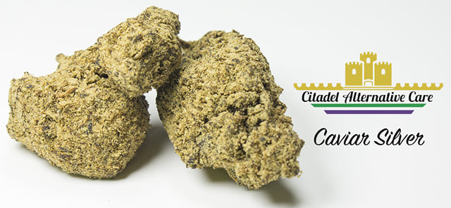 *Caviar Silver* Blue Cookies