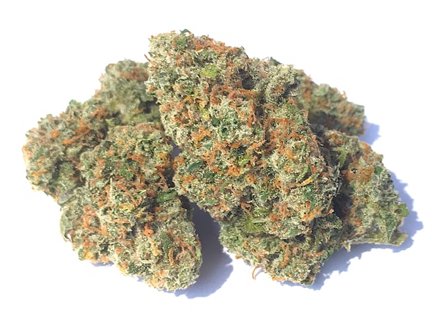 XJ-13