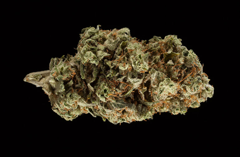 WCF- CROCKETT'S HAZE (TOP SHELF- INDOOR)