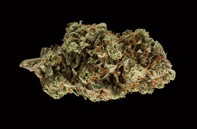 WCF- CROCKETT'S HAZE (TOP SHELF- INDOOR)