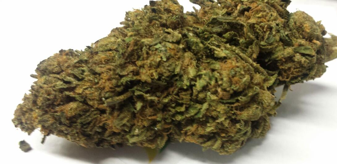 Animal Cookies