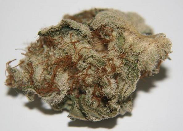 The White