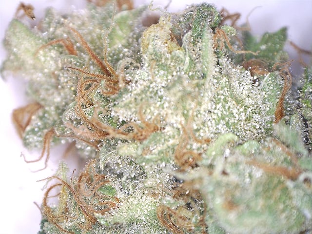 Black Jack
