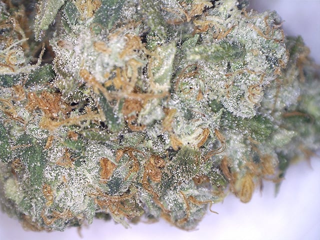 Platinum OG
