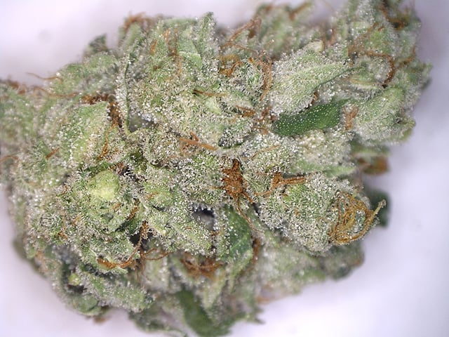 Gelato