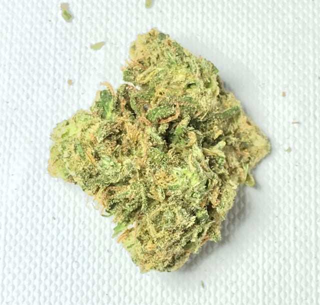 Super Silver Haze
