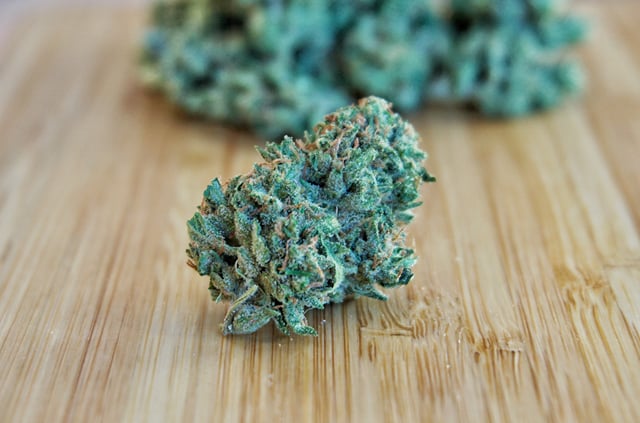 Chocolope