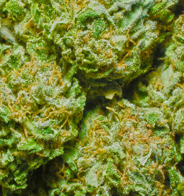Diamond O.G.