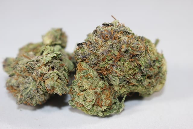 Master Kush