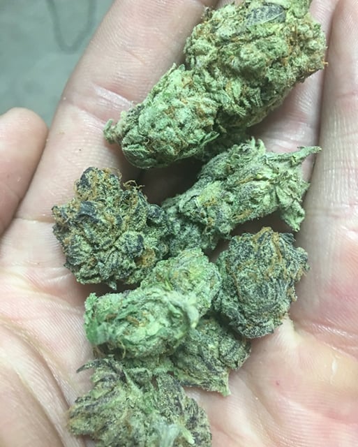 Girl Scout Cookie