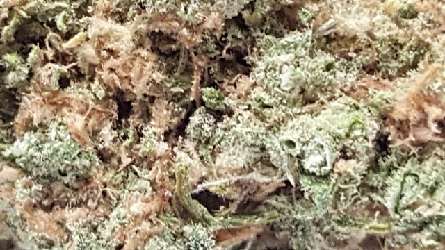 Berry White