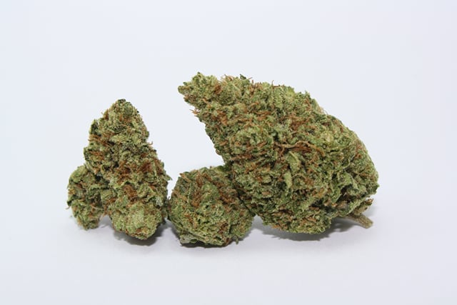 Sour Jack