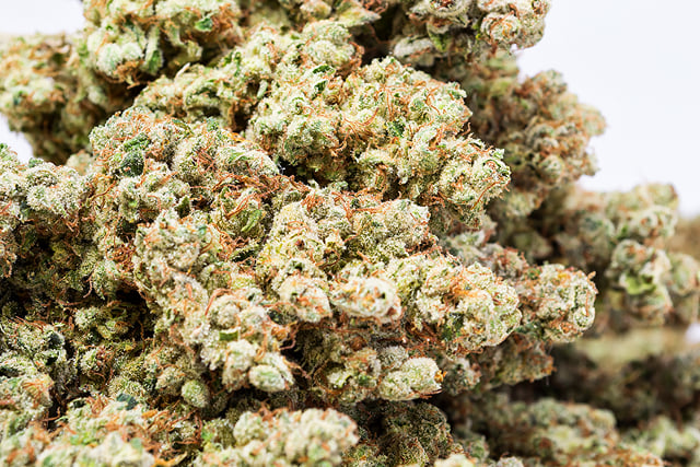 Sage N Sour