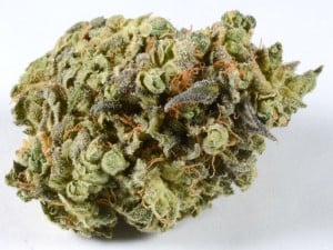 OG Berry