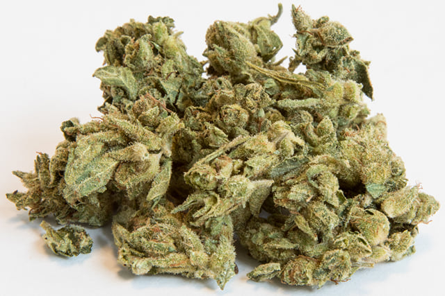 Sungrown Gorilla Glue