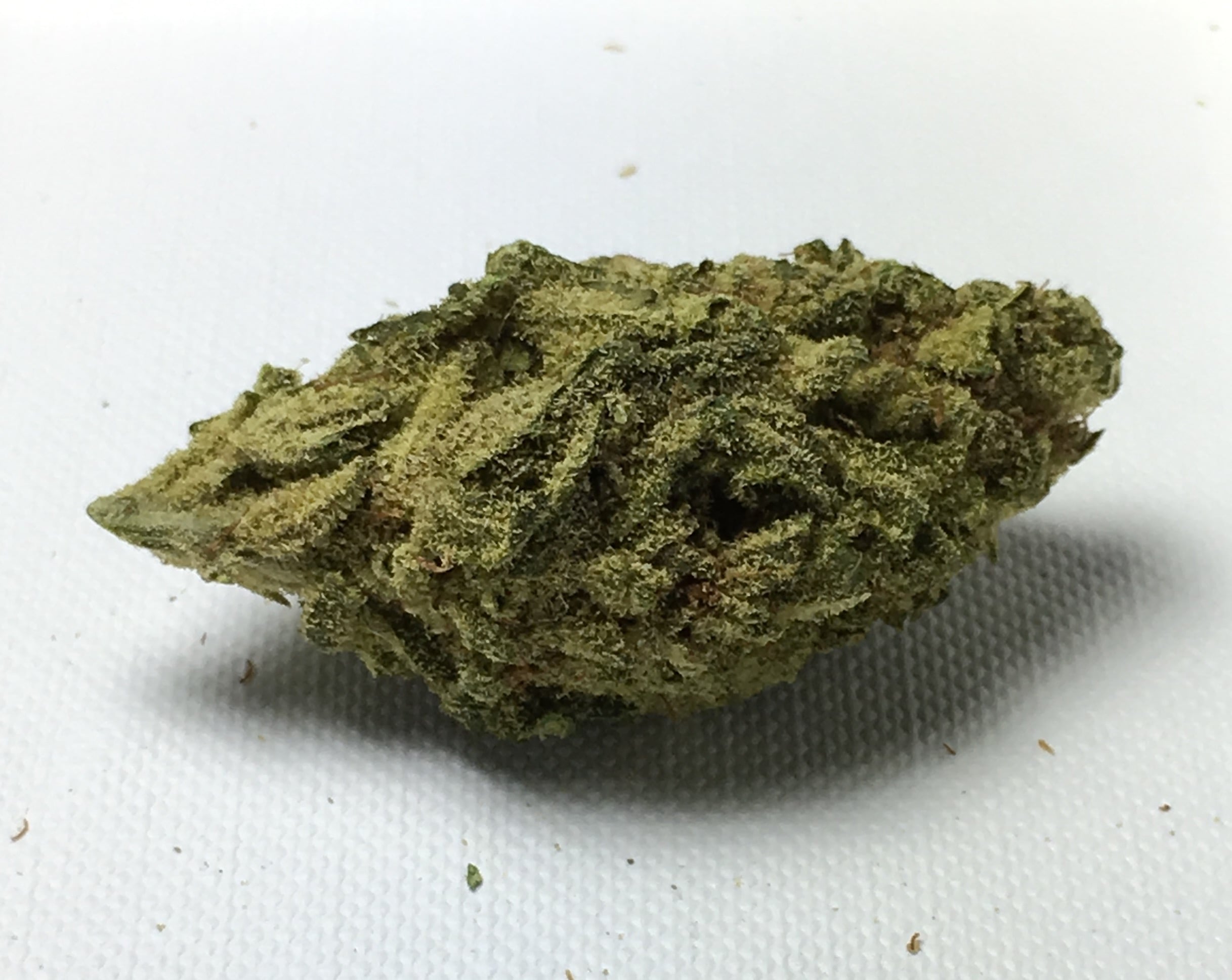 Blue Berry Dream