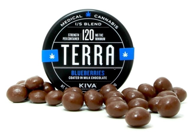 Kiva Terra Bites Blueberries