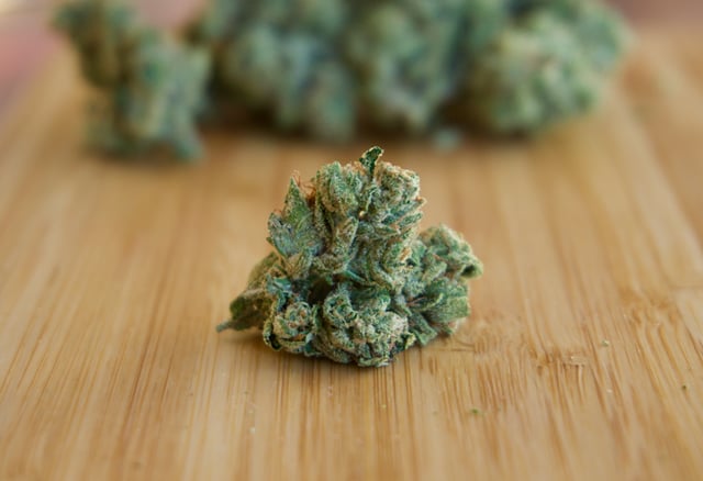 Gorilla Glue #4