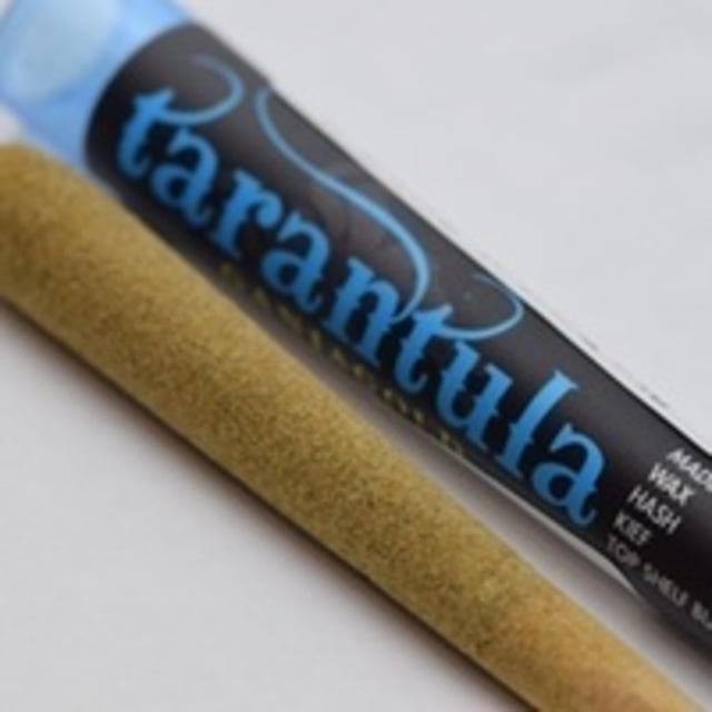 Tarantula - Pre-Roll - Blue