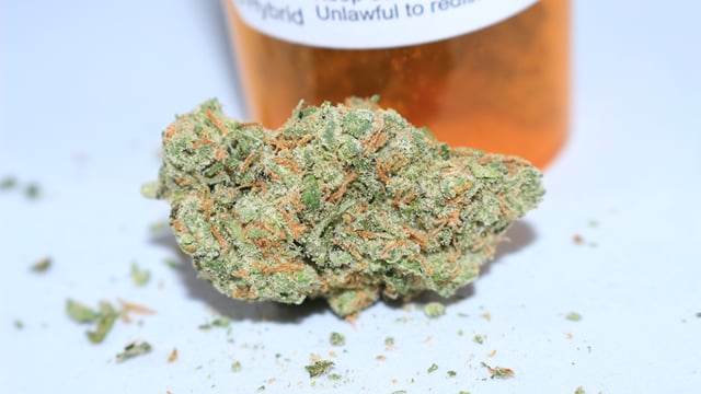 Jack Herer