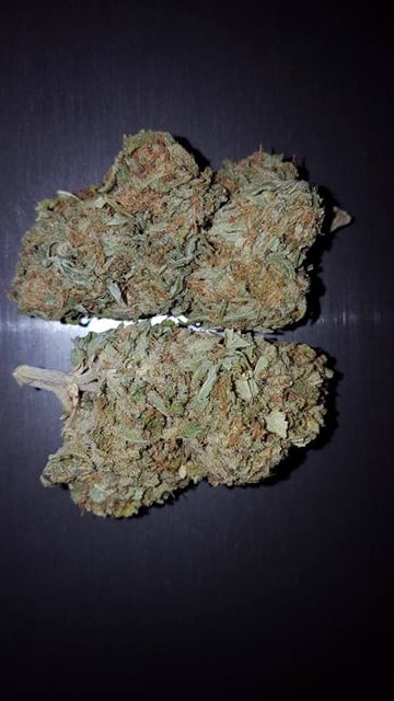 $240 OZ Lemon Fire OG (indoor)