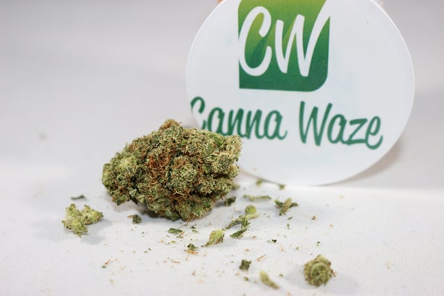 AK 47