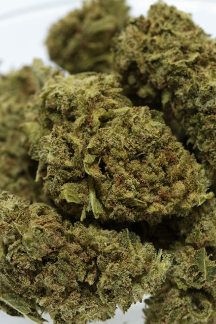 Flowers - Outdoor