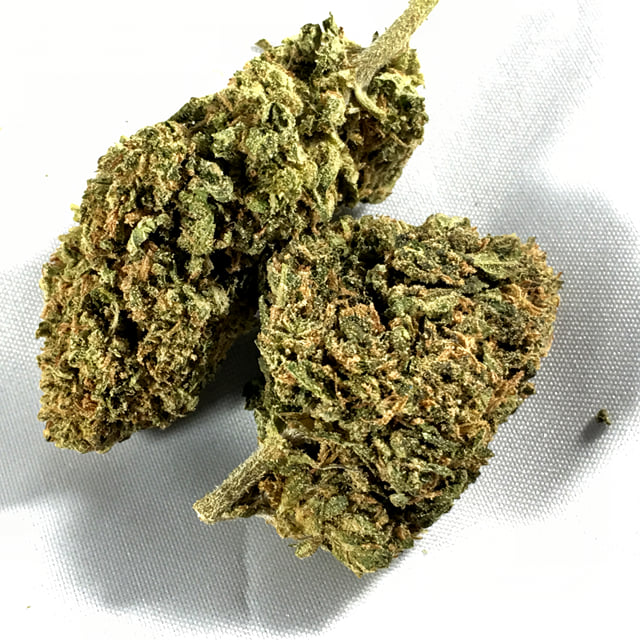 Jet Fuel